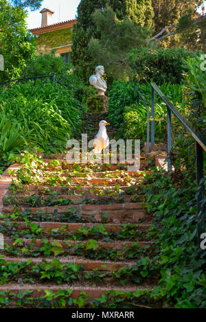 Un gabbiano sulla steirs della Santa Clotilde giardini di Lloret de Mar . Foto Stock