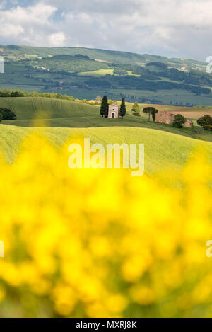 La bellezza della Val d'Orcia in Toscana , Italia Foto Stock