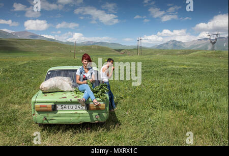 Areni, Armenia, 1 giugno, 2018: famiglia con le loro auto sulla raodside, la raccolta di erbe per l'inverno Foto Stock