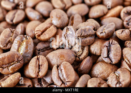 Close up foto di caffè tostato in grani, profondità di campo. Foto Stock