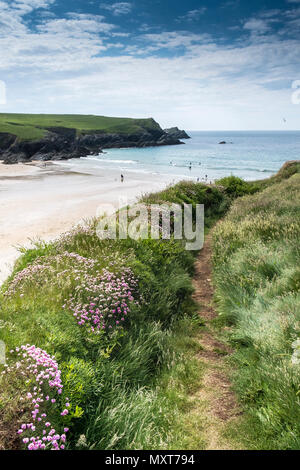 Polly scherzo scherzo Porth Beach sulla North Cornwall coast. Foto Stock