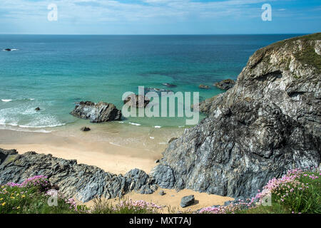 Le aspre rocce intorno ad ovest Pentire sulla North Cornwall coast. Foto Stock