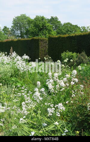 Una vista del giardino Bianco presso il castello di Sissinghurst, la casa di plantswoman e autore Vita Sackville-West Foto Stock