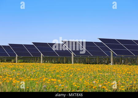 Pannelli solari su un open campo verde con fiori di colore giallo e blu del cielo in primavera. Foto Stock