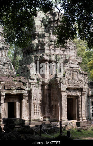 La Cambogia Siem Raep, Angkor, Tempio di Ta Prohm, Tomb Raider movie Foto Stock