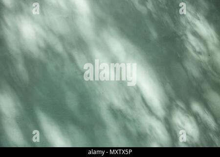 Una parete di colore verde illuminato con ombre e luci dalle foglie sparse su di essa. Foto Stock