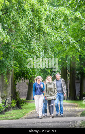 Una famiglia passeggiate lungo un viale alberato percorso nel parco noto come quelle di Cristo di pezzi a Cambridge, Inghilterra, su una soleggiata giornata estiva. Foto Stock