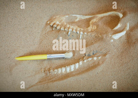Bambini che giocano a essendo un'archeologia, o archeologia alla scoperta di ossa di dinosauro in una buca di sabbia Foto Stock