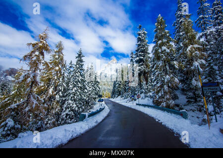 Inverno su strada e di alberi con la neve e il paesaggio delle Alpi, Dolomity, Italia Foto Stock