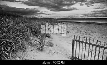 Dune di sabbia in tempo tempestoso, vento che soffia erba e un recinto di legno. Paesaggio, vista orizzontale di spiaggia scozzese in inverno. Monocromatico, Scozia, Foto Stock