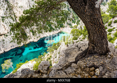 Vista da sopra del di calanque En-Vau, una insenatura naturale con acqua limpida e spiaggia di sabbia bianca nei pressi di Marsiglia e Cassis, con la gente a prendere il sole un Foto Stock