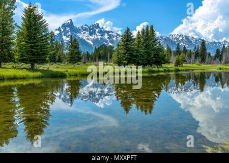 Teton Range e Snake River - Molla vista della gamma Teton che sorgeva a fianco di calma Snake River in Grand Teton National Park, Wyoming negli Stati Uniti. Foto Stock