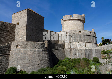 Le mura della vecchia città di Dubrovnik e la Torre Minčeta, Croazia. Foto Stock