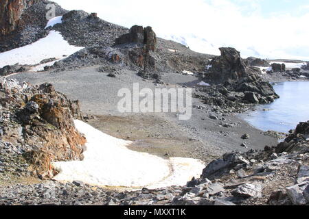 Colonia Chinstrap Foto Stock