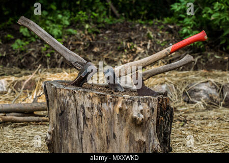 Ax bloccato in treeold ax bloccato in un moncone, su uno sfondo di paglia, primo piano Foto Stock