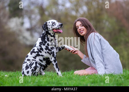 Immagine di un cane dalmata che dà una giovane donna la zampa Foto Stock