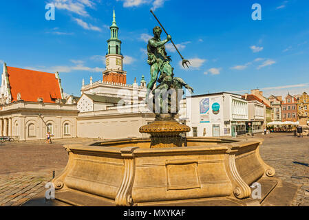 Fontana di Nettuno nella principale piazza della Città Vecchia a Poznan, in Polonia. Foto Stock