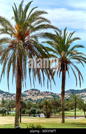 Il campo di golf in Spagna Foto Stock