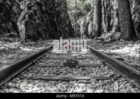 Memoriale di Hellfire Pass ferroviario, la Provincia di Kanchanaburi, Thailandia Foto Stock