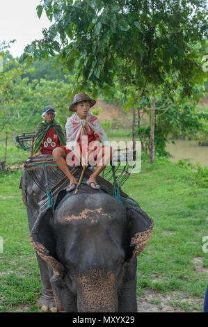 Elefante santuario, la provincia di Kanchanaburi, Thailandia Foto Stock