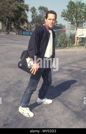 LOS ANGELES, CA - 17 agosto: Attore Gregory Harrison assiste Hollywood All-Star Game il 17 agosto 1991 presso il Dodger Stadium di Los Angeles, California. Foto di Barry re/Alamy Stock Photo Foto Stock