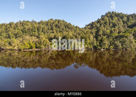 Alberi riflessa nel fiume Gordon, costa Ovest della Tasmania Foto Stock