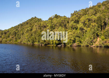 Alberi riflessa nel fiume Gordon, costa Ovest della Tasmania Foto Stock