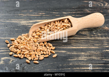 Convogliatore a secco con grani di grano su sfondo di legno Foto Stock