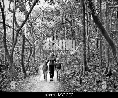 A piedi in testa Burleigh National Park, Gold Coast, Agosto 1960. Foto Stock