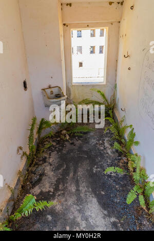 Vista interna del Presidio Modelo, prigione modello costruito alla fine degli anni venti su Isla de la Juventud, Cuba Foto Stock