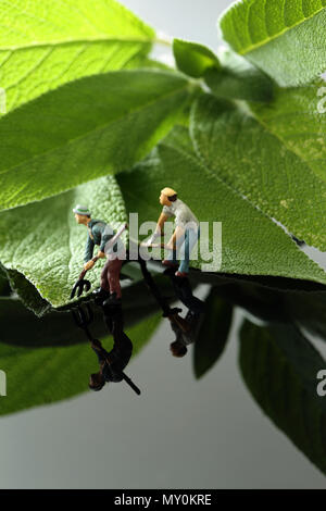 Miniatura modello in scala i giardinieri con strumenti di salvia di taglio su un sfondo lucido con la riflessione Foto Stock