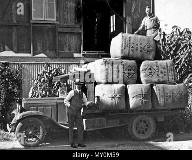 Carico di balle di lana Lana di lasciare la camera, c1926. L'Evening News (Rockhampton) 12 gennaio 1926 100.000 balle per gennaio. 201573725 ) i sigg. Dalgely e Co., Ltd., Rockhampton, sono in ricezione o il seguente telegramma dal loro ufficio di Sydney, datato 11 gennaio;- un centinaio di migliaia di balle di lana sono lo essere presentato dai mediatori di Sydney durante il mese di gennaio. Abbiamo aperto le nostre vendite al giorno con un catalogo o 5500 balle disegnati da vari distretti soprattutto buona e tipi di media, ma 110 super lotti. Alcune belle crossbreds sono stati inclusi, ma in gran parte difettosa. Vi è una forte concorrenza da parte di Yorkshire e japa Foto Stock