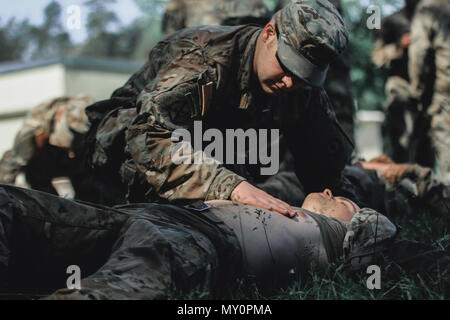 Sgt. Andrew Hartwig (superiore), Machesney Park, Illinois native, fante con il primo squadrone, 2° reggimento di cavalleria, controlla un soldato per respirazione stabile durante il combattimento ancora di salvezza la formazione con gruppo di combattimento della Polonia a Bemowo Piskie Area Formazione, Polonia, 31 maggio 2018. Gruppo di combattimento della Polonia è un luogo unico e multinazionale di coalizione di Stati Uniti, Regno Unito, croato e soldati rumeni che servono con il polacco della XV Brigata meccanizzata come una forza di dissuasione a sostegno della NATO in avanti rafforzata presenza. (U.S. Esercito foto di Spc. Hubert D. Delany III) Foto Stock