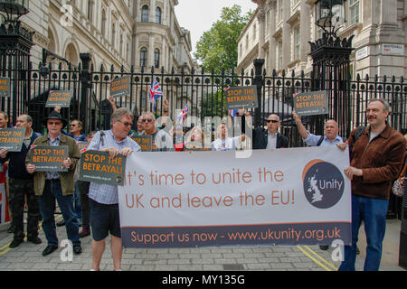 Londra, Regno Unito. 5° giu, 2018. Sostenitori Brexit appello all'immediata applicazione dell'articolo 30 all'esterno di Downing Street Credit: Alex Cavendish/Alamy Live News Foto Stock