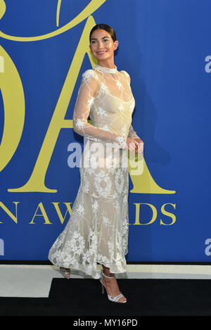 New York, Stati Uniti d'America. Il 4 giugno, 2018. Lily Aldridge assiste il 2018 CFDA Fashion Awards al Brooklyn Museum il 4 giugno 2018 a New York City. Credito: Erik Pendzich/Alamy Live News Foto Stock