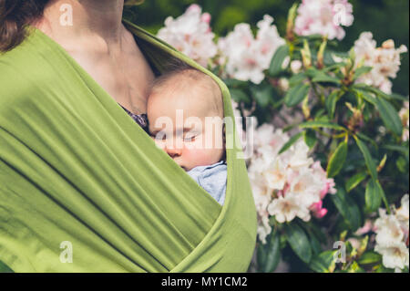 Un grazioso piccolo bambino in una imbracatura portato da sua madre è in stato di stop mediante una camellia bush Foto Stock