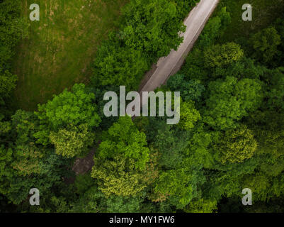 Vista dall'alto in basso sulla strada di campagna nella foresta,aereo drone. Foto Stock