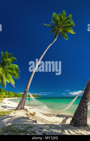 Svuotare amaca sotto alte palme, spiaggia tropicale, nelle isole Fiji Foto Stock