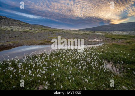 Area Dynjandi, West fiordi, Islanda Foto Stock