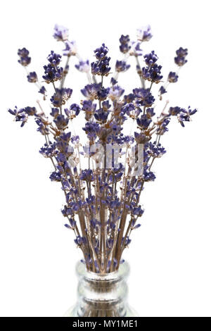 Viola Viola essiccato Lavanda fiori in un vaso di vetro Foto Stock
