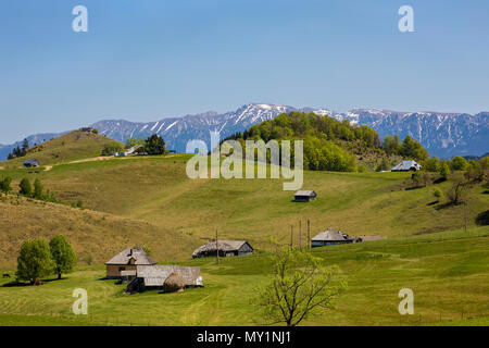 Paesaggio di montagne di Bucegi nei Carpazi romeni in primavera Foto Stock