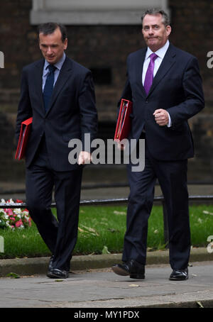 Segretario gallese Alun Cairns (sinistra) e del Segretario di Stato per il commercio internazionale Liam Fox arrivano a Downing Street, Londra, per una riunione del gabinetto. Foto Stock