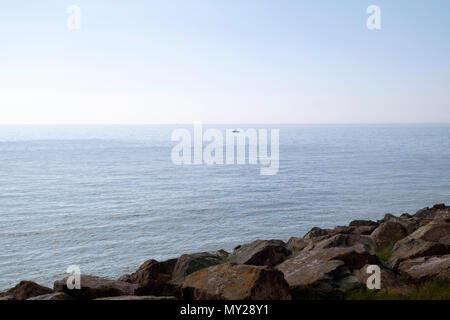 Armatura di roccia le difese costiere, East Lane, Bawdsey, Suffolk, Inghilterra. Foto Stock