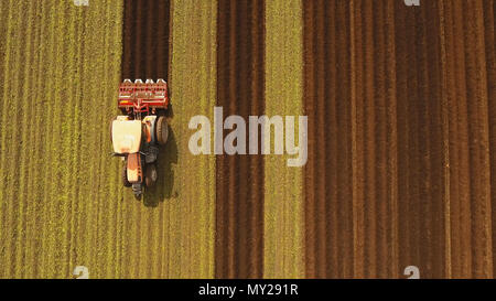 L'agricoltore nel trattore la preparazione di terra con il coltivatore del letto di semina in terreni coltivati. Aratri trattore un campo. Il lavoro agricolo in lavorazione, la coltivazione dei terreni. Gli agricoltori la preparazione di terreni e di concimazione. I lavoratori agricoli con i trattori. Foto Stock