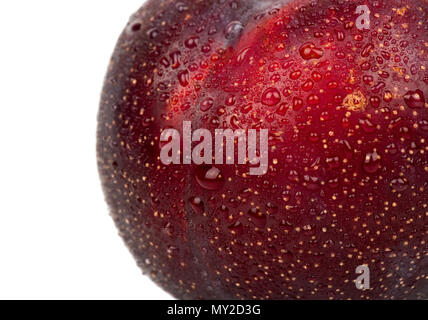 Big ripe rosso di prugna con gocce d'acqua closeup Foto Stock