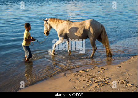 CAIRU, Brasile - CIRCA NEL MARZO 2017: Brasiliano cavallo prende a nuotare nel fiume con il suo proprietario sulla remota spiaggia sulla costa di cocco in Nordeste Bahia. Foto Stock