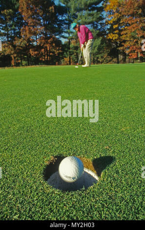 Un golfista affonda un putt su un corso gof in Foxboro, Massachusetts, STATI UNITI D'AMERICA Foto Stock