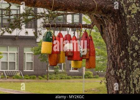 Pesca colorata boe appeso a un albero, Lunenburg, Nova Scotia, Canada Foto Stock