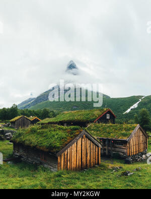 Norvegese tetto di erba vecchia casa Foto Stock