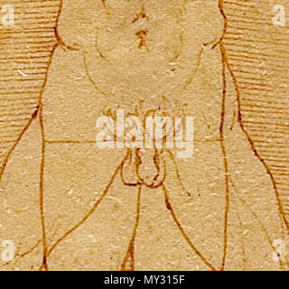 . Inglese: Closeup dell'uomo vitruviano genitali . 2 marzo 2014, 10:39:43. Leonardo da Vinci (1452-1519) nomi alternativi Leonardo di ser Piero da Vinci, Leonardo Descrizione pittore italiano, ingegnere, astronomo, filosofo, anatomista e matematico Data di nascita e morte 15 Aprile 1452 2 maggio 1519 Luogo di nascita e morte Anchiano Clos Lucé il lavoro periodo dal 1466 fino al 1519 sede di lavoro Firenze (1466-1482), Milano (1483-1499), Mantova (1499), Venezia (1500), Firenze (1500-1506), Milano (1506-1513), Firenze (1507-1508), Roma (1513-1516), Amboise (1513-1518) Autorità di controllo : Q762 Foto Stock